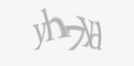 Защитный код